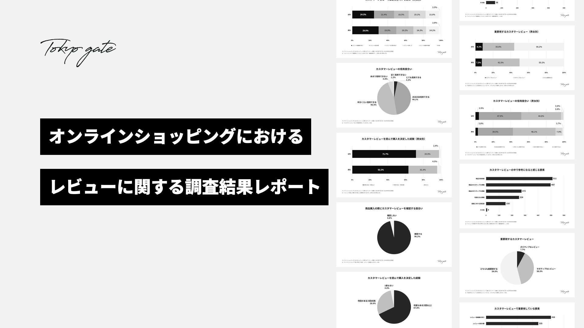 ECのレビューに関する調査レポート